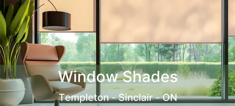  Window Shades Templeton - Sinclair - ON