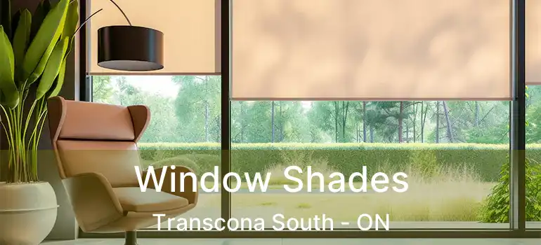  Window Shades Transcona South - ON