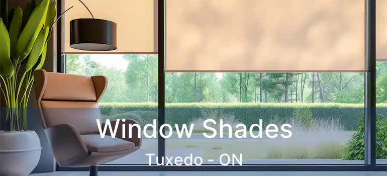  Window Shades Tuxedo - ON