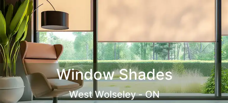  Window Shades West Wolseley - ON