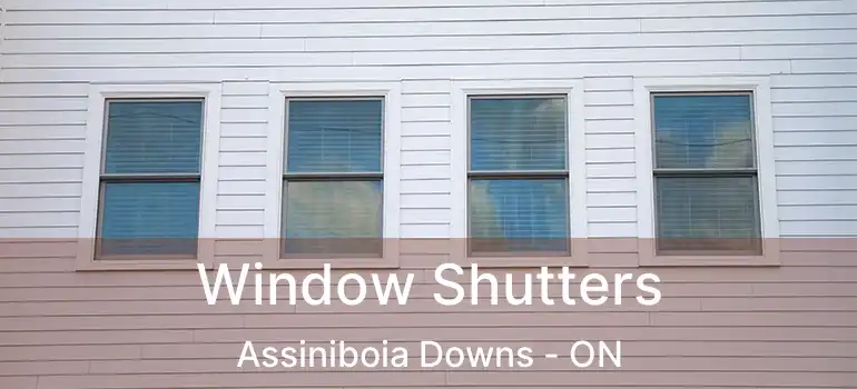  Window Shutters Assiniboia Downs - ON