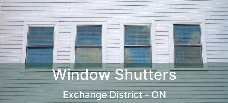  Window Shutters Exchange District - ON