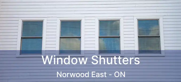  Window Shutters Norwood East - ON