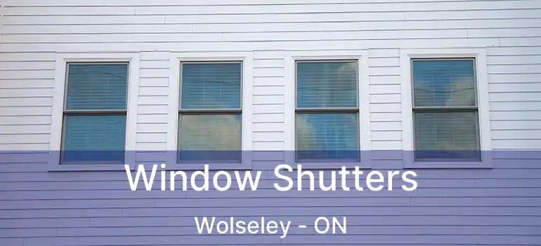  Window Shutters Wolseley - ON