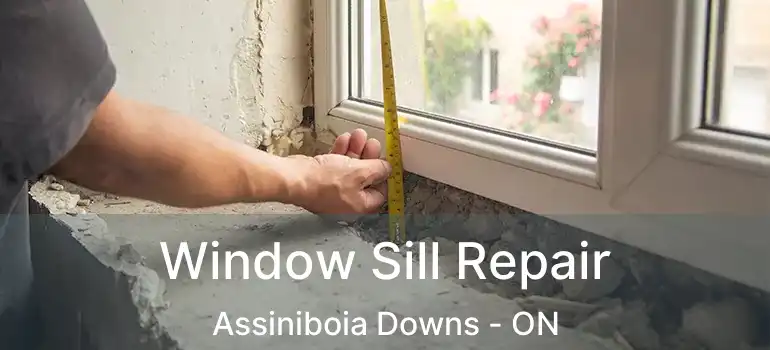  Window Sill Repair Assiniboia Downs - ON
