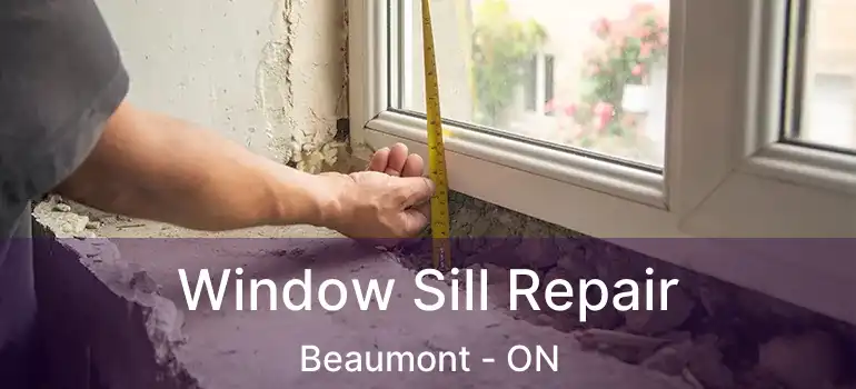  Window Sill Repair Beaumont - ON