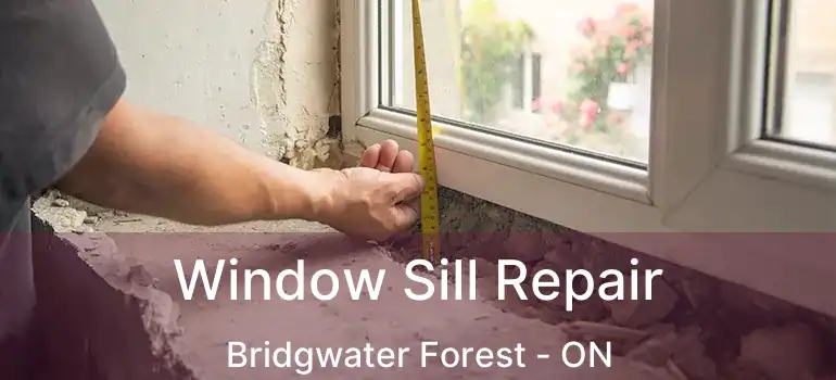 Window Sill Repair Bridgwater Forest - ON