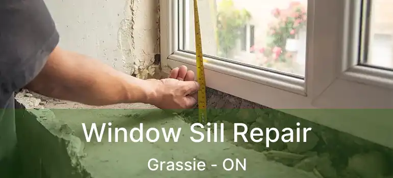  Window Sill Repair Grassie - ON