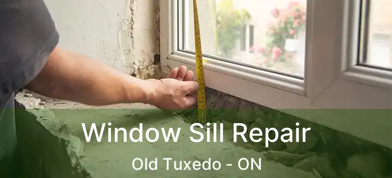  Window Sill Repair Old Tuxedo - ON