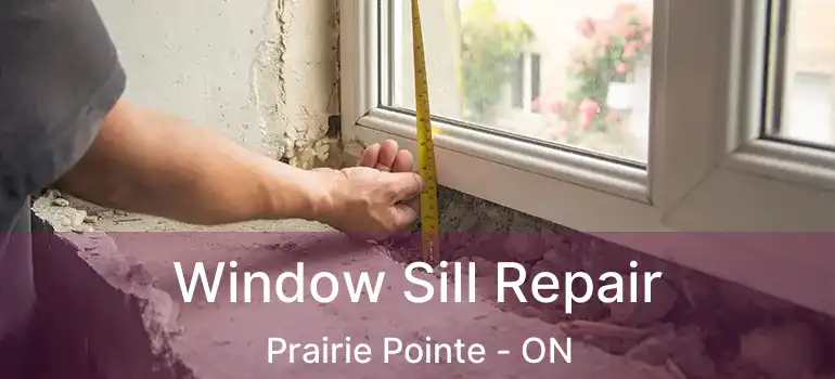  Window Sill Repair Prairie Pointe - ON