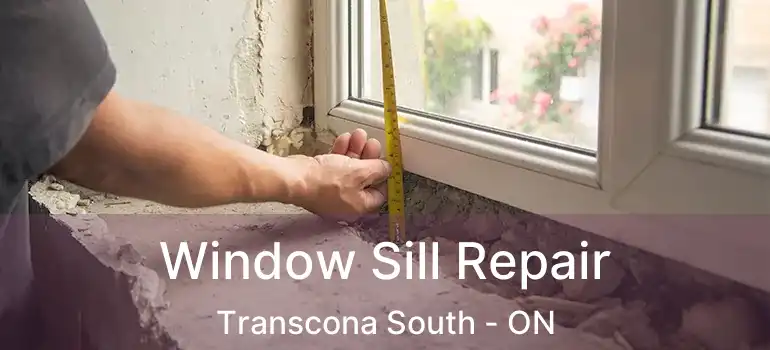  Window Sill Repair Transcona South - ON