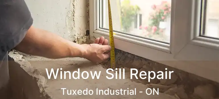  Window Sill Repair Tuxedo Industrial - ON