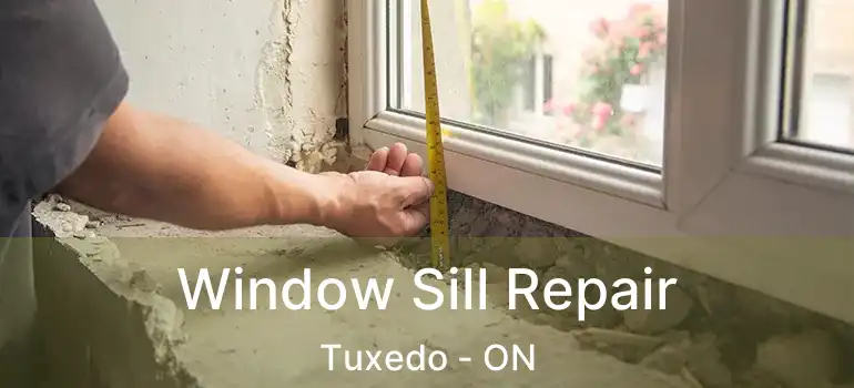  Window Sill Repair Tuxedo - ON