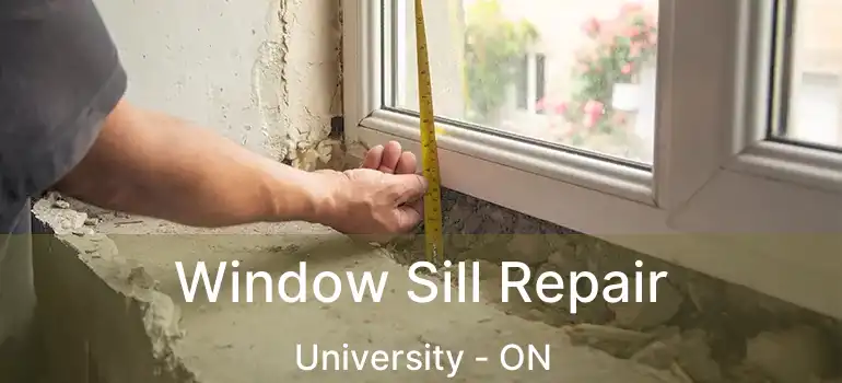  Window Sill Repair University - ON
