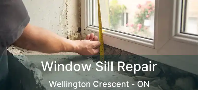  Window Sill Repair Wellington Crescent - ON