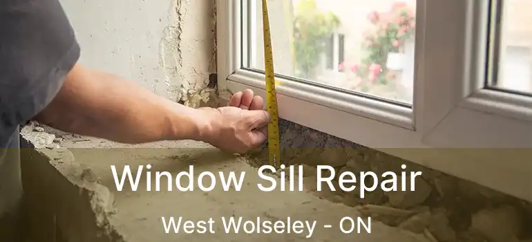  Window Sill Repair West Wolseley - ON