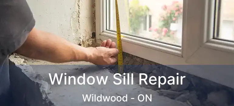  Window Sill Repair Wildwood - ON