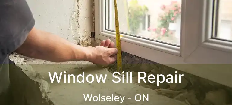  Window Sill Repair Wolseley - ON