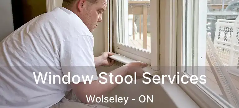  Window Stool Services Wolseley - ON