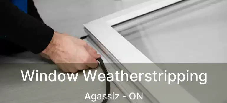  Window Weatherstripping Agassiz - ON