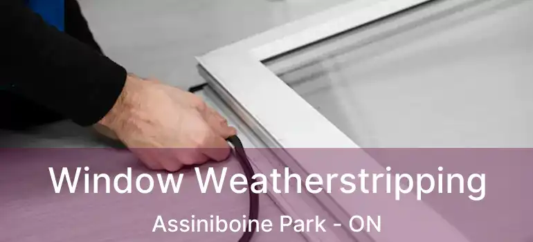  Window Weatherstripping Assiniboine Park - ON