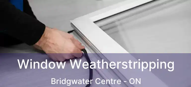  Window Weatherstripping Bridgwater Centre - ON