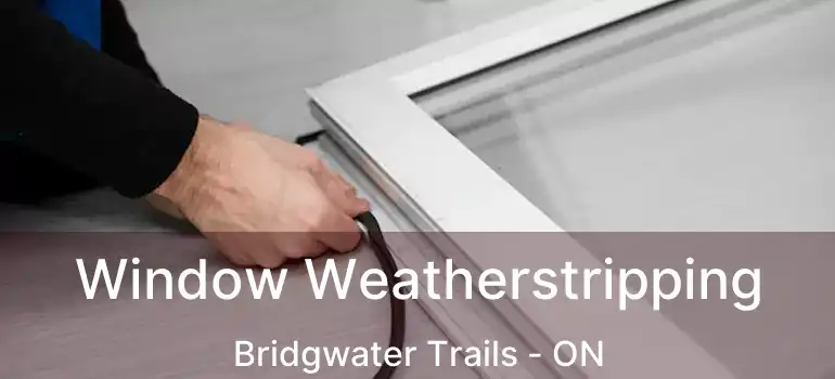  Window Weatherstripping Bridgwater Trails - ON