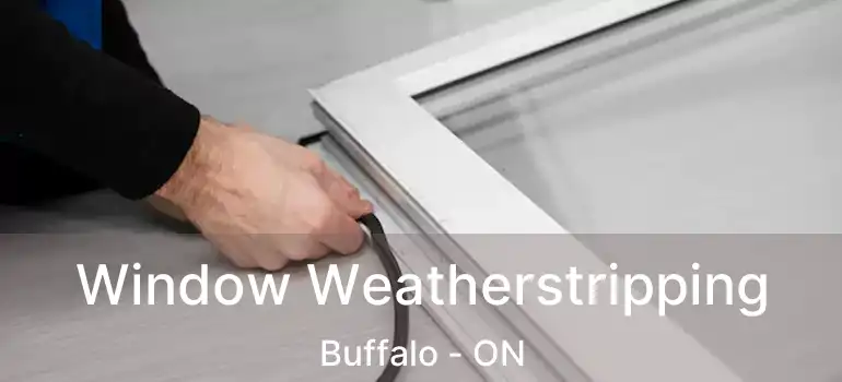  Window Weatherstripping Buffalo - ON