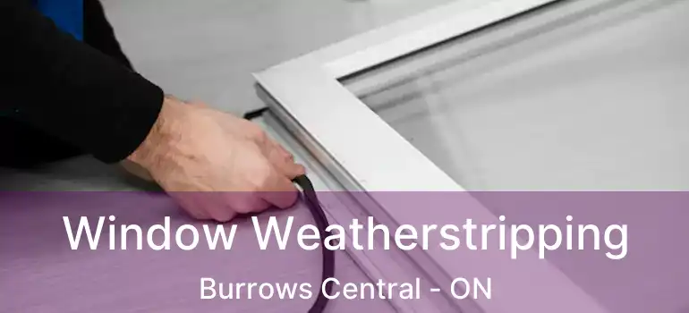  Window Weatherstripping Burrows Central - ON