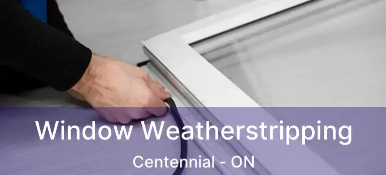  Window Weatherstripping Centennial - ON