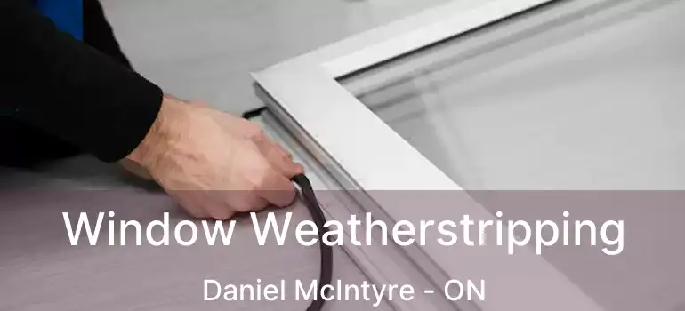  Window Weatherstripping Daniel McIntyre - ON