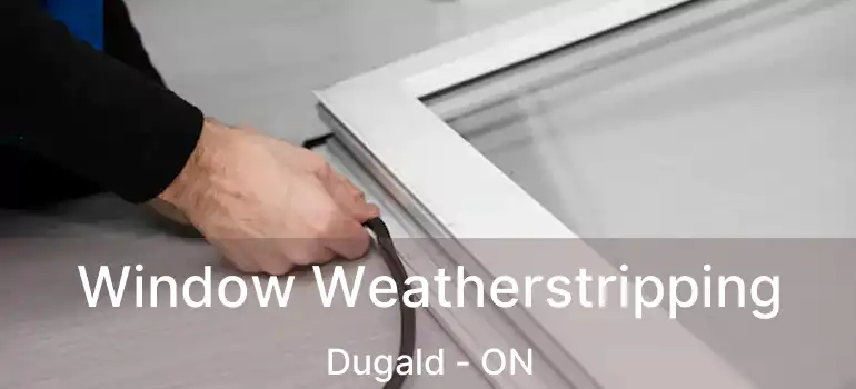 Window Weatherstripping Dugald - ON