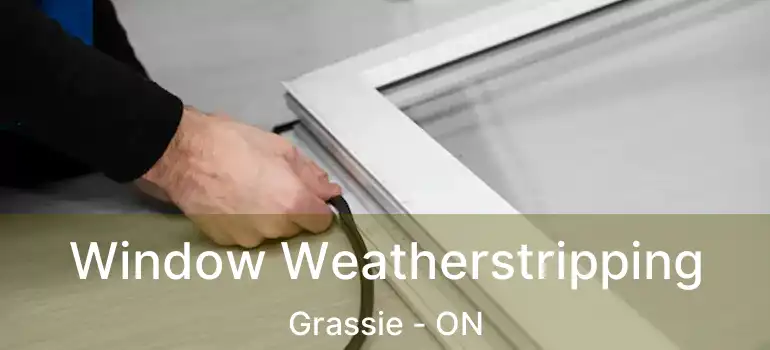  Window Weatherstripping Grassie - ON