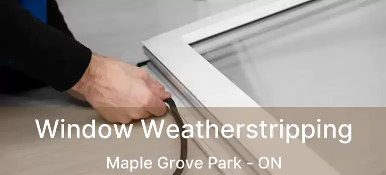  Window Weatherstripping Maple Grove Park - ON