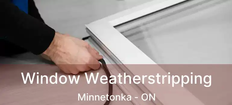  Window Weatherstripping Minnetonka - ON