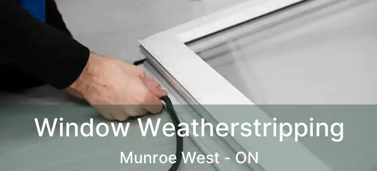  Window Weatherstripping Munroe West - ON