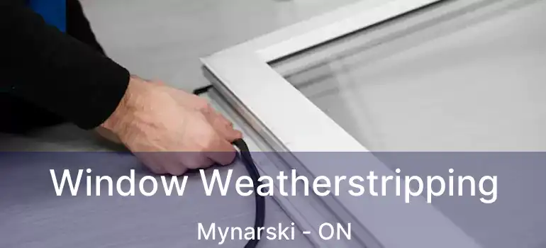  Window Weatherstripping Mynarski - ON