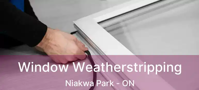  Window Weatherstripping Niakwa Park - ON