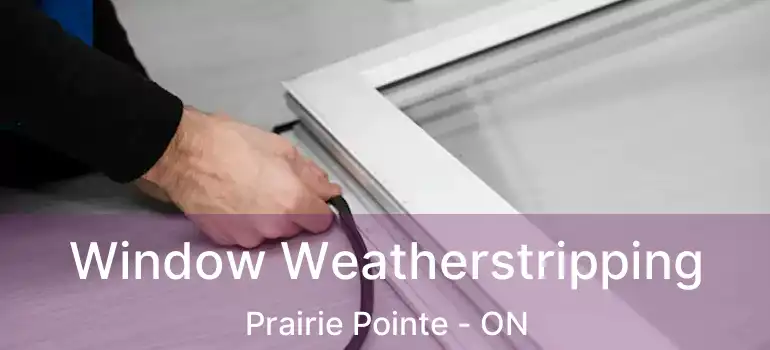  Window Weatherstripping Prairie Pointe - ON