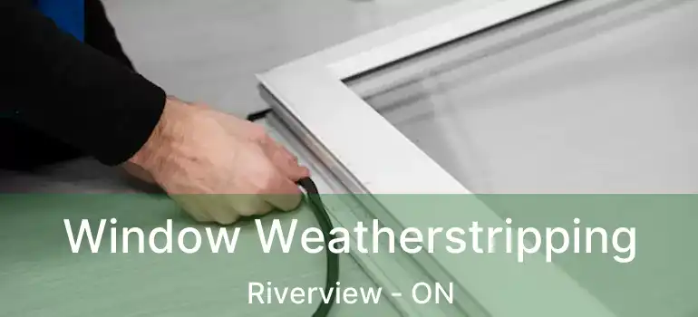  Window Weatherstripping Riverview - ON