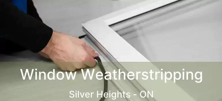  Window Weatherstripping Silver Heights - ON