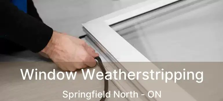  Window Weatherstripping Springfield North - ON