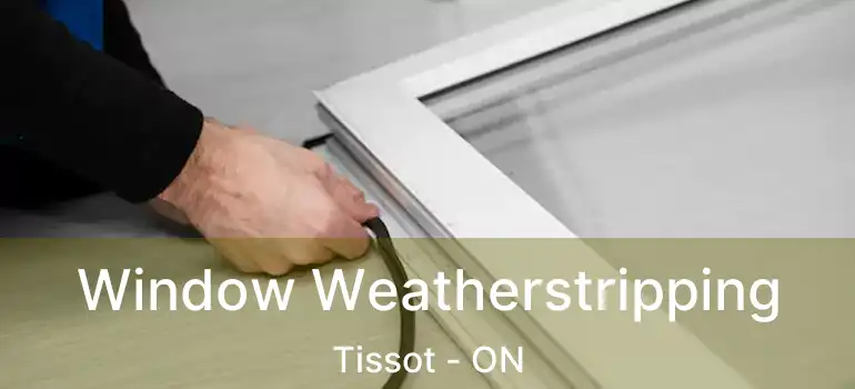  Window Weatherstripping Tissot - ON
