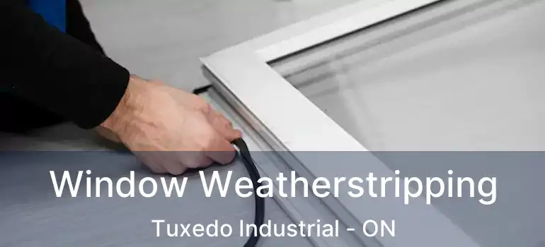  Window Weatherstripping Tuxedo Industrial - ON