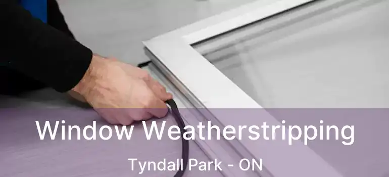  Window Weatherstripping Tyndall Park - ON