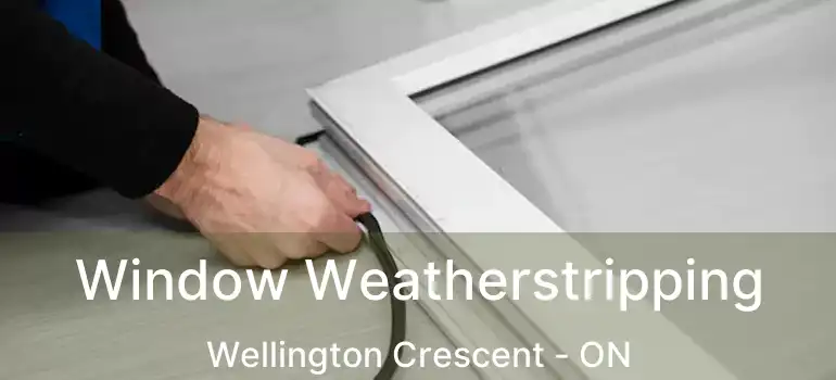  Window Weatherstripping Wellington Crescent - ON