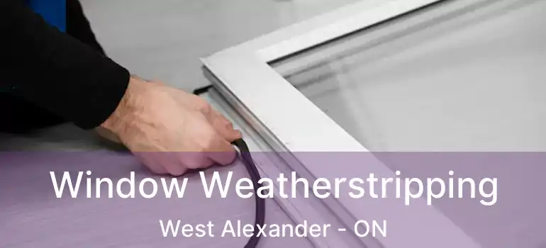  Window Weatherstripping West Alexander - ON
