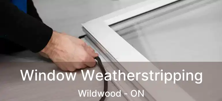 Window Weatherstripping Wildwood - ON