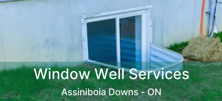  Window Well Services Assiniboia Downs - ON