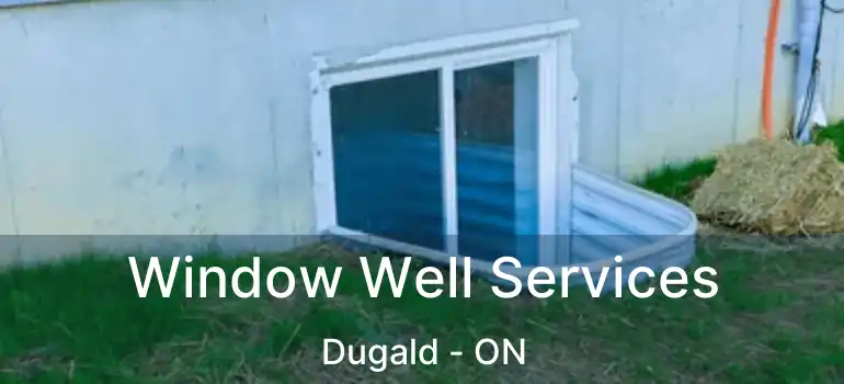  Window Well Services Dugald - ON